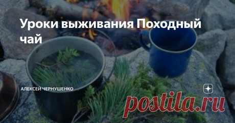 Уроки выживания Походный чай Витаминный напиток из хвои.
Замечательное витаминное средство. Рекомендуется как при заболеваниях, так и в качестве профилактического средства, особенно при авитаминозе, цинге; воспалительных и простудных заболеваниях; после тяжелой болезни, операций; истощении, упадке сил, малокровии. Напиток рекомендуется принимать короткими курсами (4-5 дней) по одному стакану (250 мл) в день. Между курсами