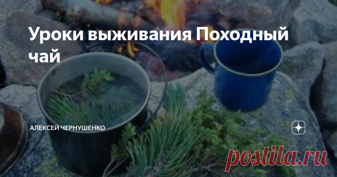Уроки выживания Походный чай Витаминный напиток из хвои.
Замечательное витаминное средство. Рекомендуется как при заболеваниях, так и в качестве профилактического средства, особенно при авитаминозе, цинге; воспалительных и простудных заболеваниях; после тяжелой болезни, операций; истощении, упадке сил, малокровии. Напиток рекомендуется принимать короткими курсами (4-5 дней) по одному стакану (250 мл) в день. Между курсами