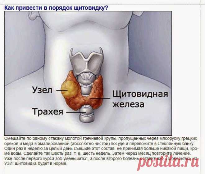 Секреты, мастерство!: МЫ И ЗДОРОВЬЕ