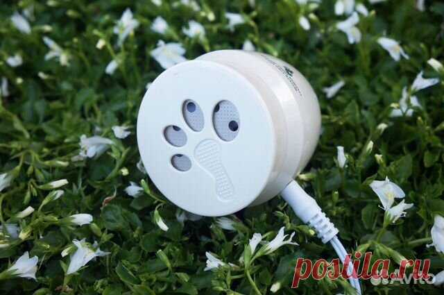 Авито — Объявления на сайте Авито