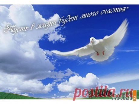 «Пусть в вашем доме пахнет СЧАСТЬЕМ!»