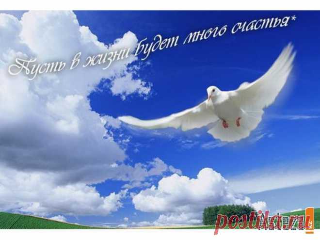 «Пусть в вашем доме пахнет СЧАСТЬЕМ!»