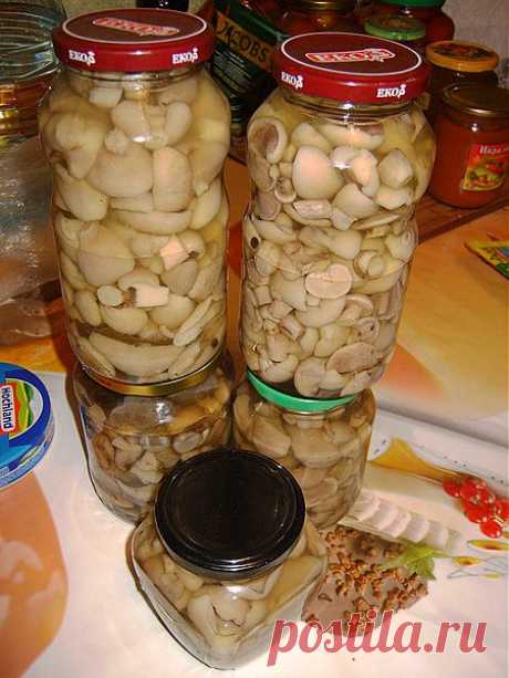 Группа: ЛЮБИМЫЕ ЗАГОТОВКИ