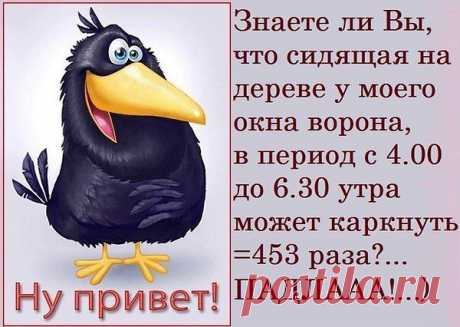 НЕ СЧИТАЛА...
НО - НЕ МЕНЬШЕ!!!
РЕАЛЬНО, ДОСТАЕТ...ЧЁ ЕЙ НЕ СПИТСЯ!