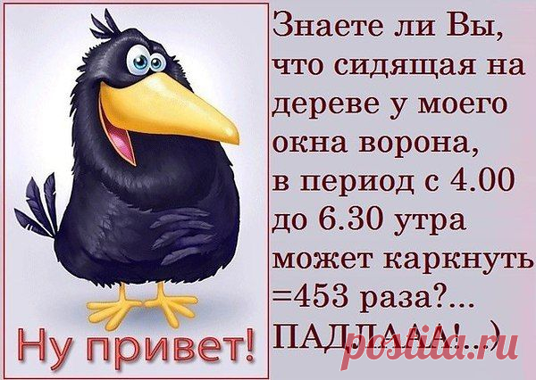 НЕ СЧИТАЛА...
НО - НЕ МЕНЬШЕ!!!
РЕАЛЬНО, ДОСТАЕТ...ЧЁ ЕЙ НЕ СПИТСЯ!