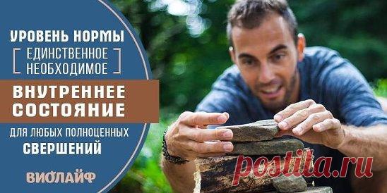Уровень нормы – единственное необходимое внутреннее состояние для...
