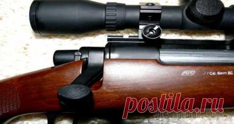 Карабин Zastava M70 (Застава М70) PPS .243 Win: его особенности и аналоги