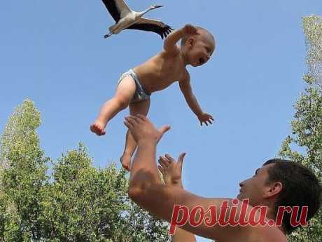 Удивительный, ловкий и редкий кадр где ребёнка приносит Аист :)