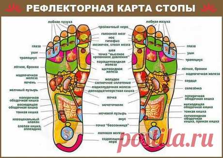 Интересные новости