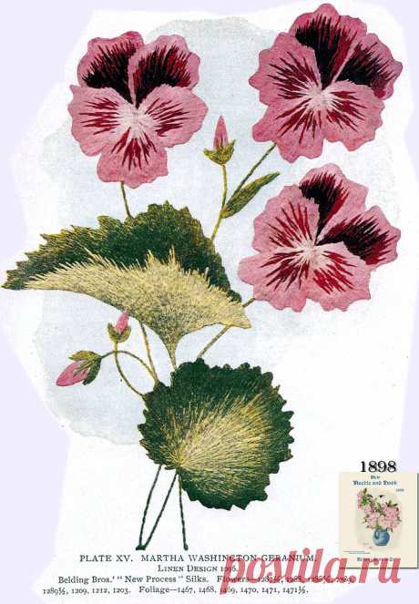 Belding Brothers XV 1898