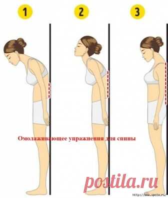 Омолаживающее упражнения для спины