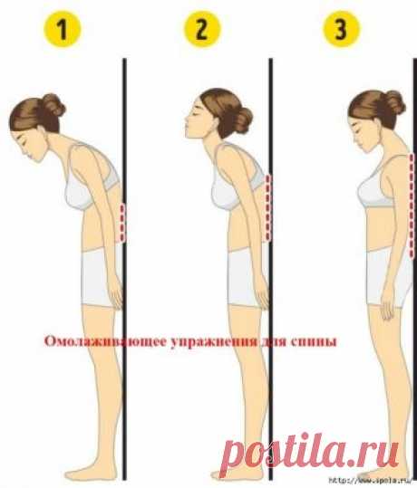 Омолаживающее упражнения для спины