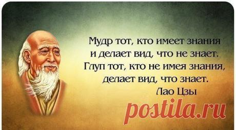 Записки Миллионера