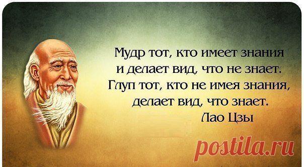 Записки Миллионера