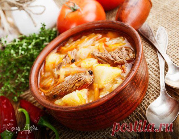 Как приготовить щи из капусты: классический рецепт