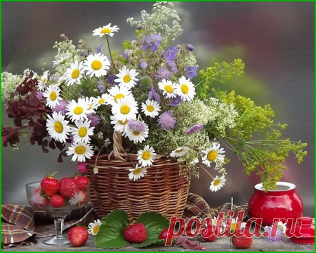 Галерея фото прекрасных цветов для вас.