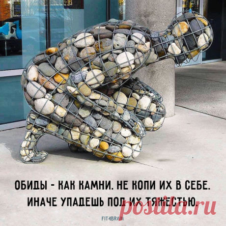 Не копи обиды