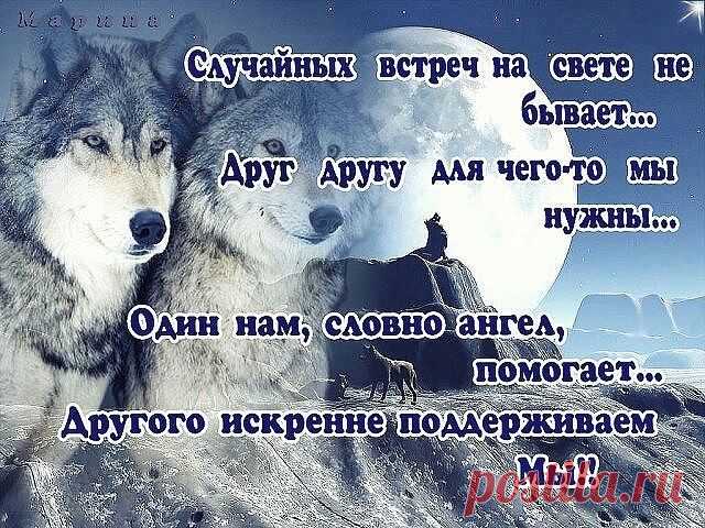 Одноклассники