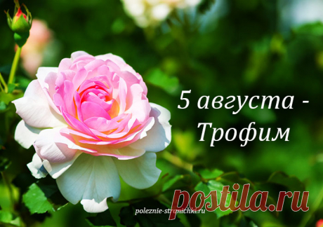 Народные приметы на 5 августа в день Трофима. Что можно и надо сделать 5 августа, а что делать нельзя по поверьям и приметам