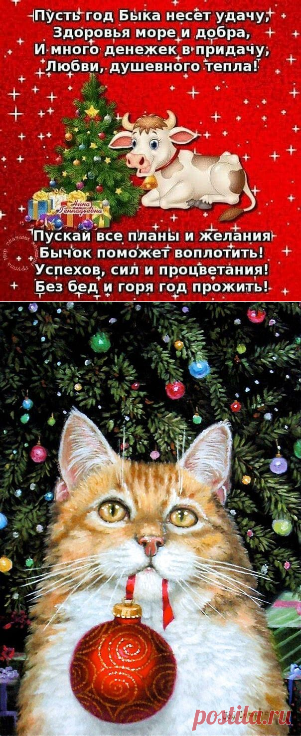 (6841) Pinterest