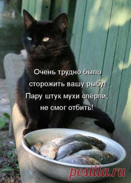 Мой Мир@Mail.Ru