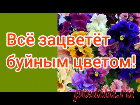 Цветы счастливы от таких подкормок!!!😁🍃