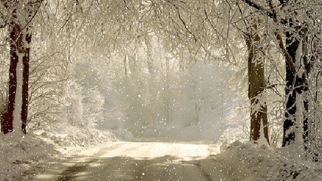 Фото Без названия. Альбом Фото группы - 19900 фото. Фотографии ВСЕ ДЛЯ ДУШИ!.