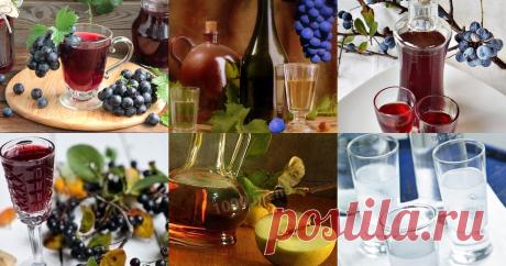 Советы - Напитки - 1000.menu cook_advice_in_section