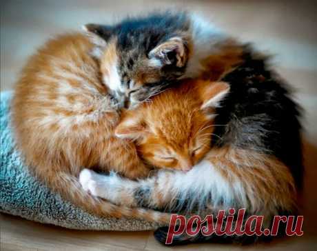 Обнимашки ❤