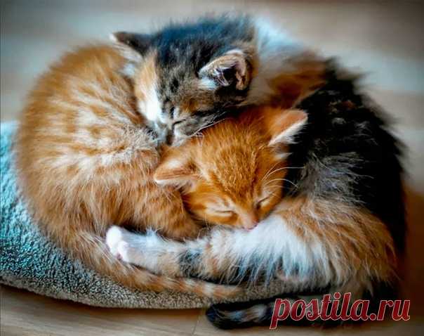Обнимашки ❤