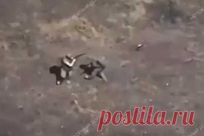 Необычное использование автомата в бою спасло жизнь российскому бойцу и попало на видео