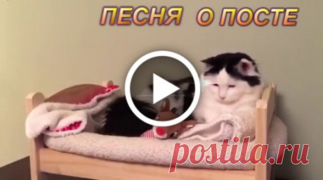 Популярные открытки, отправленные за последний час