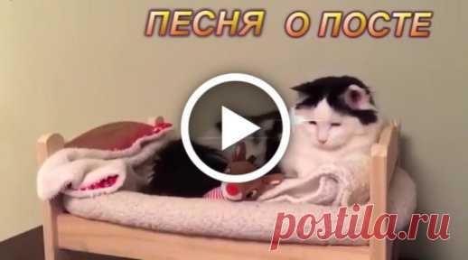 Популярные открытки, отправленные за последний час