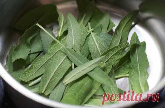 5 специй которые уничтожают бактерии и защищают | Golbis