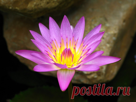 Редактировать описание