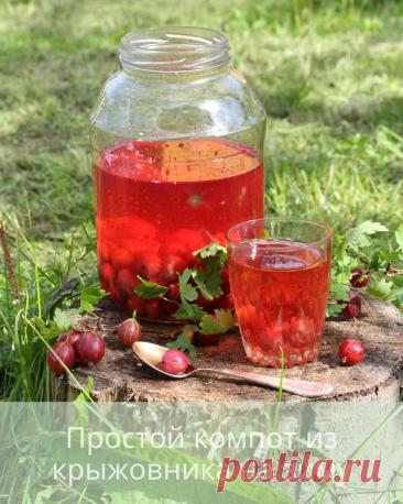 Простой компот из крыжовника на зиму — Дачный участок