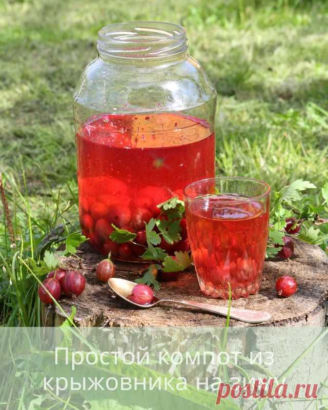 Простой компот из крыжовника на зиму — Дачный участок