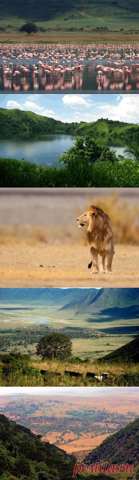 Нгоронгоро: необычный биозаповедник в кратере