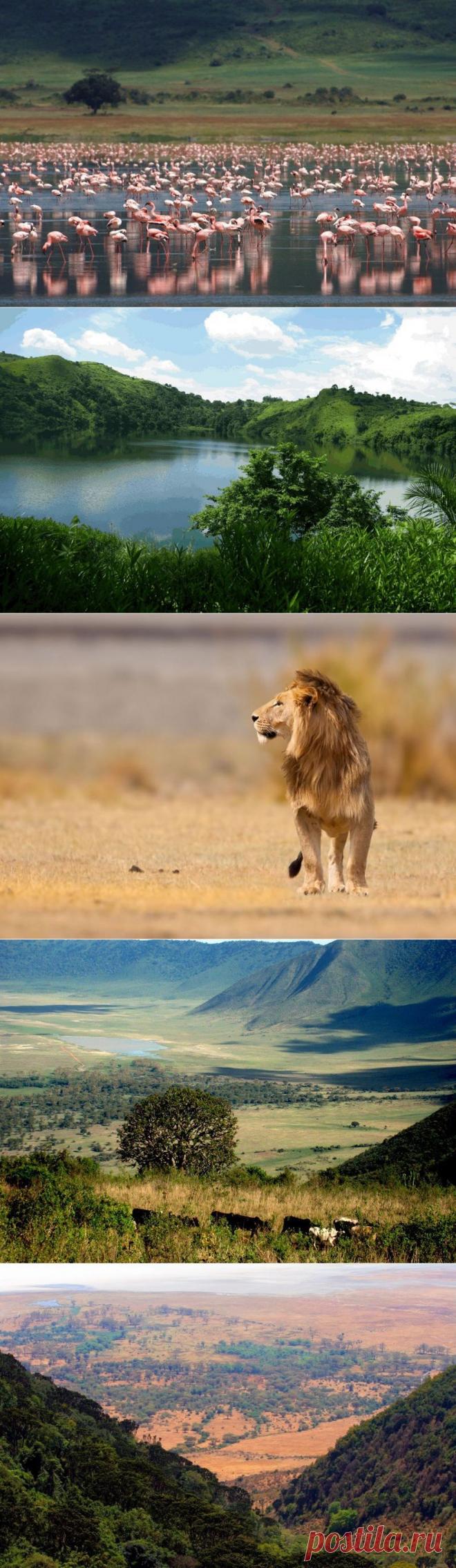 Нгоронгоро: необычный биозаповедник в кратере