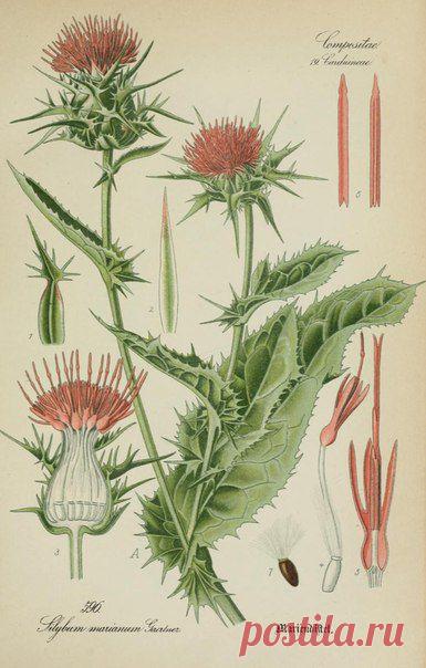 ~ MON PLAISIR ~ Вещи для души. Винтаж,Прованс.