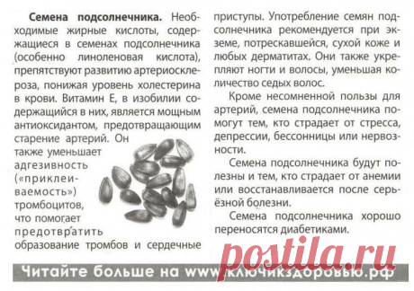 Семена подсолнечника лечат