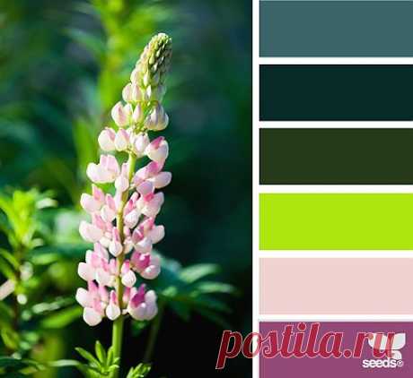 Design Seeds® | find your palette