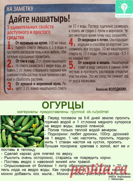 Одноклассники