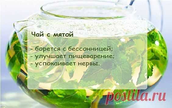 Свойства чая с мятой