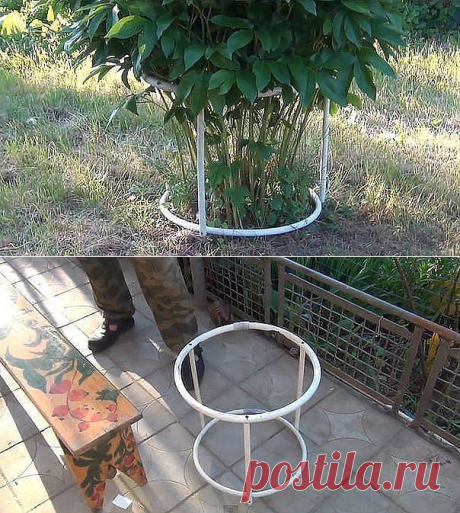 КОНСТРУКЦИЯ ДЛЯ ПОДВЯЗКИ ПИОНОВ