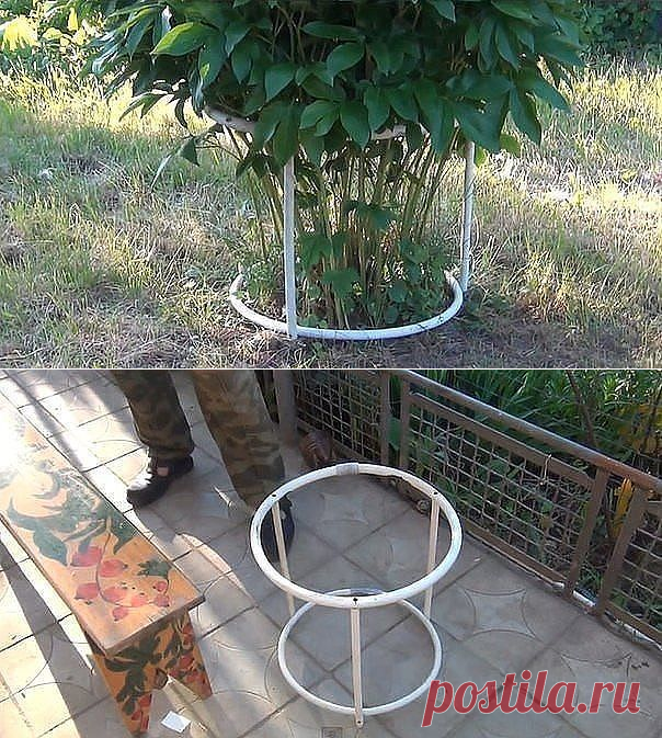 Кустодержатель двухъярусный пирамида. Кустодержатель для смородины для крыжовника. Опора для кустов смородины. Опоры для кустов из труб. 10шт.