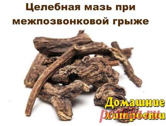 Целебная мазь при межпозвонковой грыже