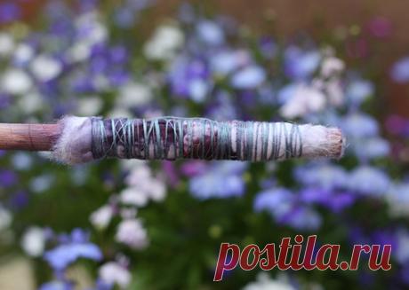 tinctory