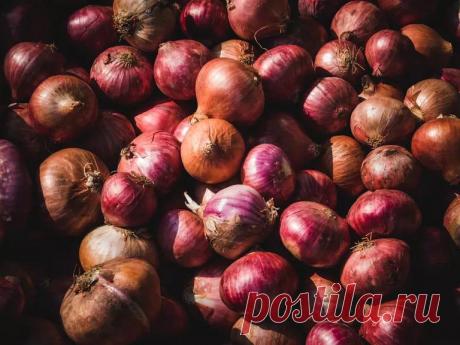 Что высаживать рядом с луком: полный список цветов, трав и овощей