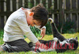 БЕЗДОМНЫЙ КОТ ДРУГ И ЛЕКАРЬ.